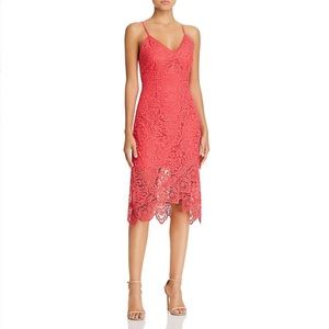 BB Dakota Lace Pink Midi Dress